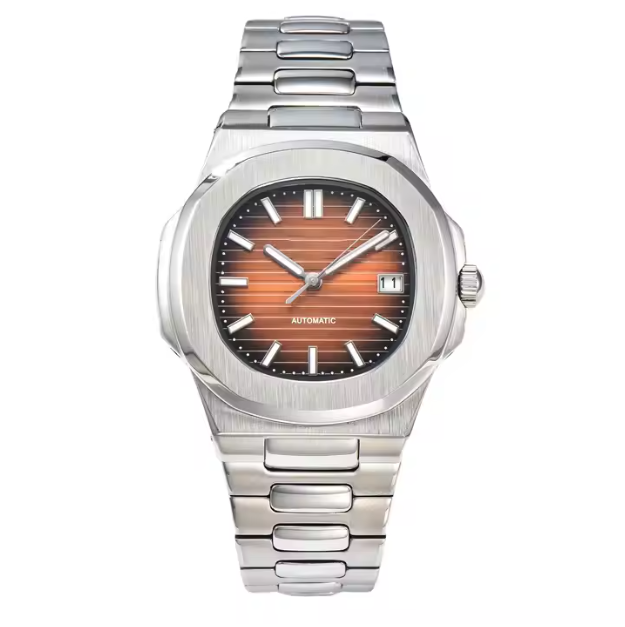 Premium Luxury Segment Watch